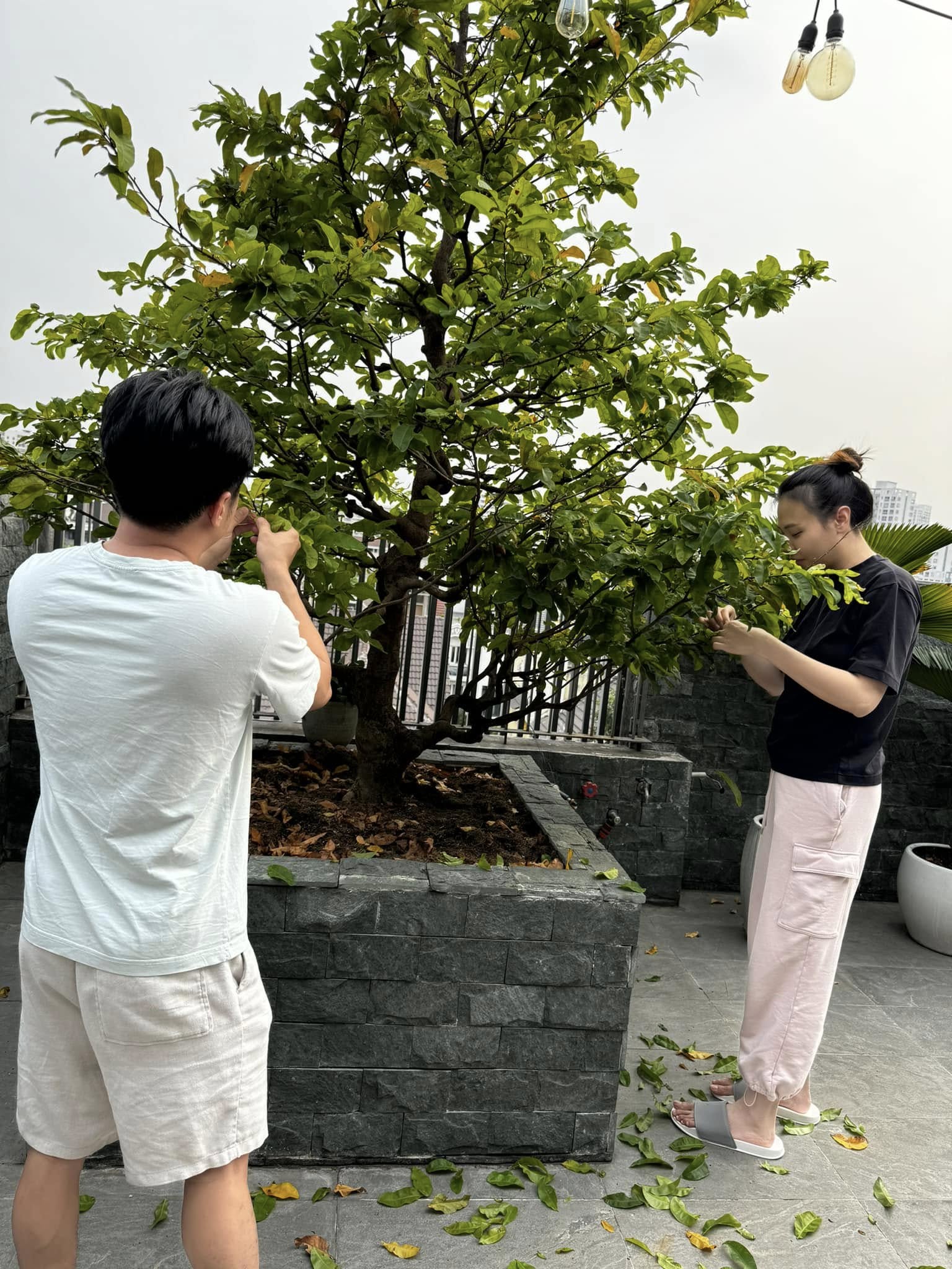 1 điều Cường Đô La chỉ dám làm khi Đàm Thu Trang đã ngủ say- Ảnh 5.