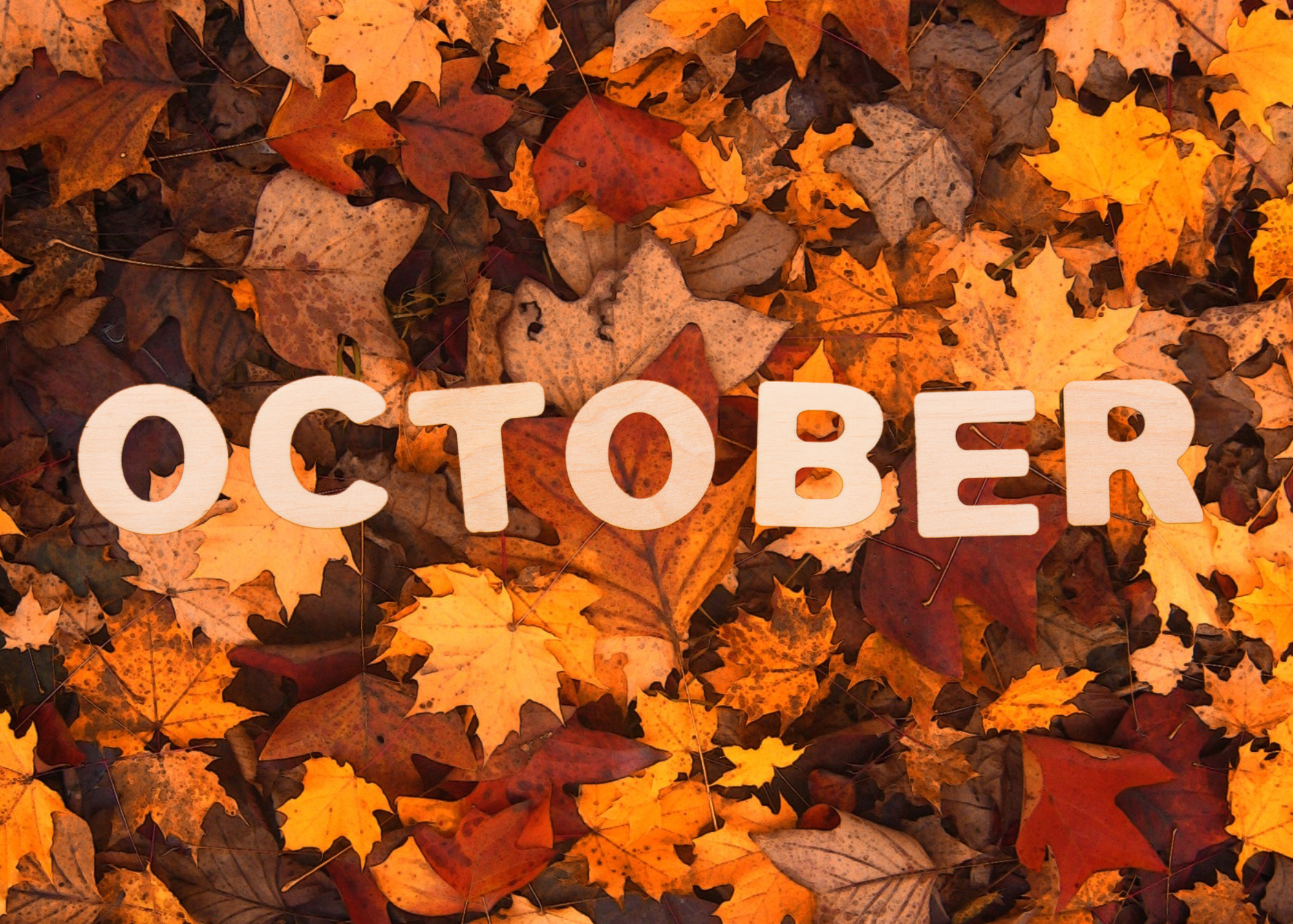 Sự thật bất ngờ về "October - Tháng 10" mà 9.0 IELTS chưa chắc biết- Ảnh 1.