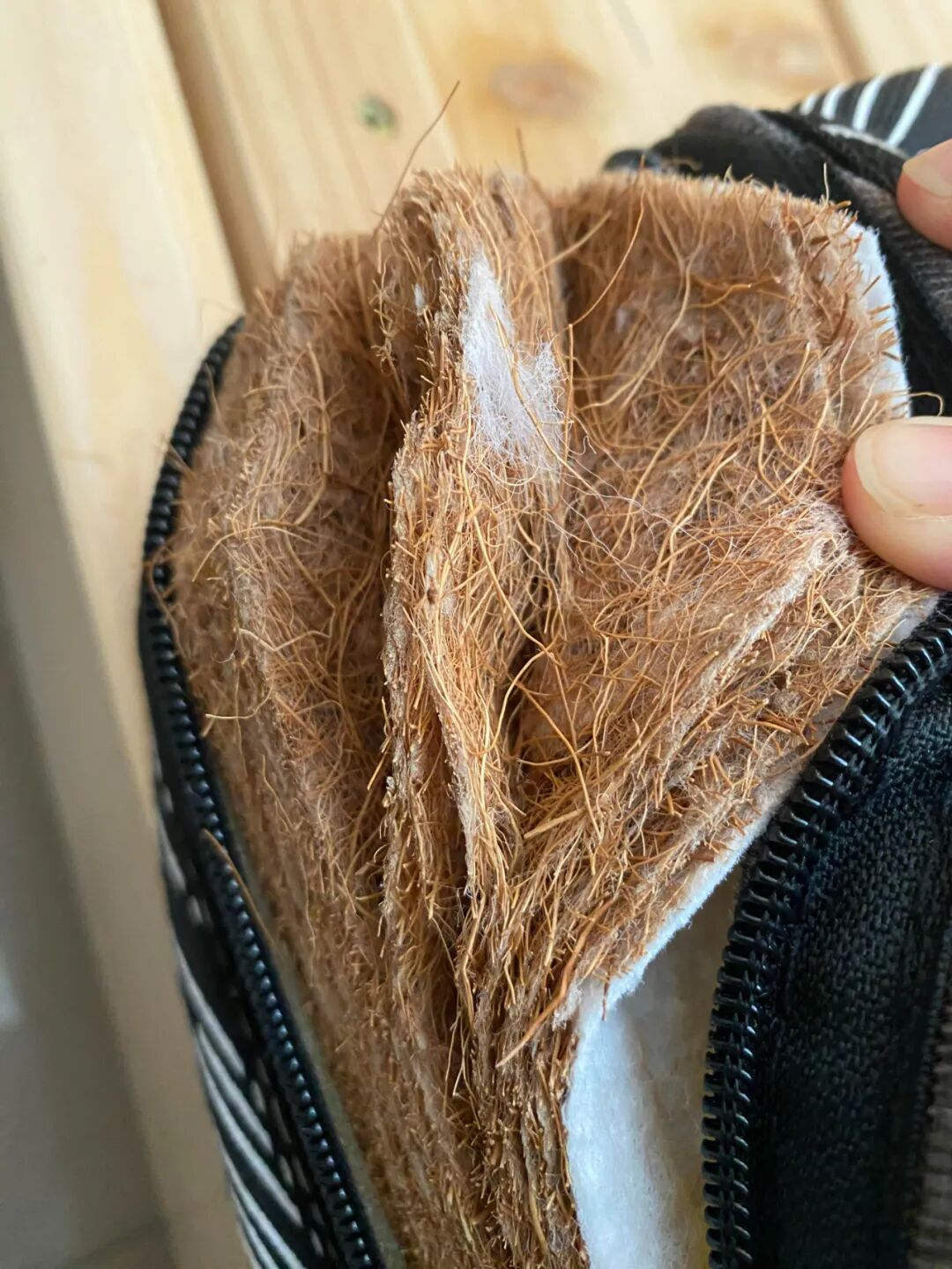 5 loại đệm người trong nghề liệt vào 