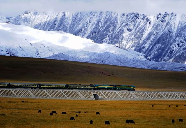 photo-1759724039290