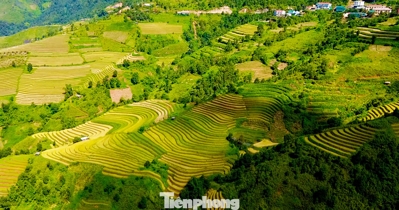 Rực rỡ, bát ngát ruộng bậc thang ở Xím Vàng- Ảnh 1.