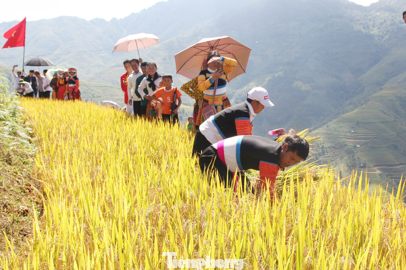 Rực rỡ, bát ngát ruộng bậc thang ở Xím Vàng- Ảnh 3.