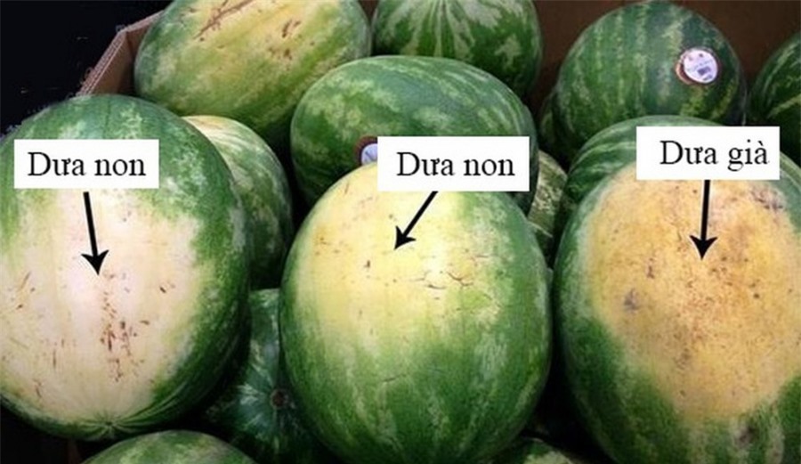 Nhờ lão nông trồng dưa hấu nhắc nhở, tôi vội "mách" lại cho người nhà, kể từ đó đều mua được loại ngon "10 quả như 1"- Ảnh 6.