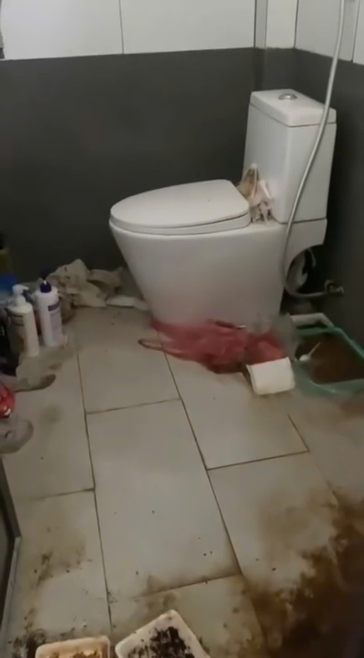 Su&yacute;t ngất khi biết đ&acirc;y l&agrave; ph&ograve;ng của một nữ sinh 2k1!- Ảnh 5.