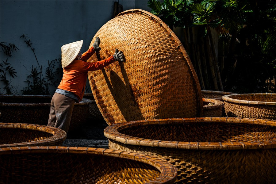 Ấn tượng khoảnh khắc cá voi săn mồi giữa biển Nhơn Lý- Ảnh 7.