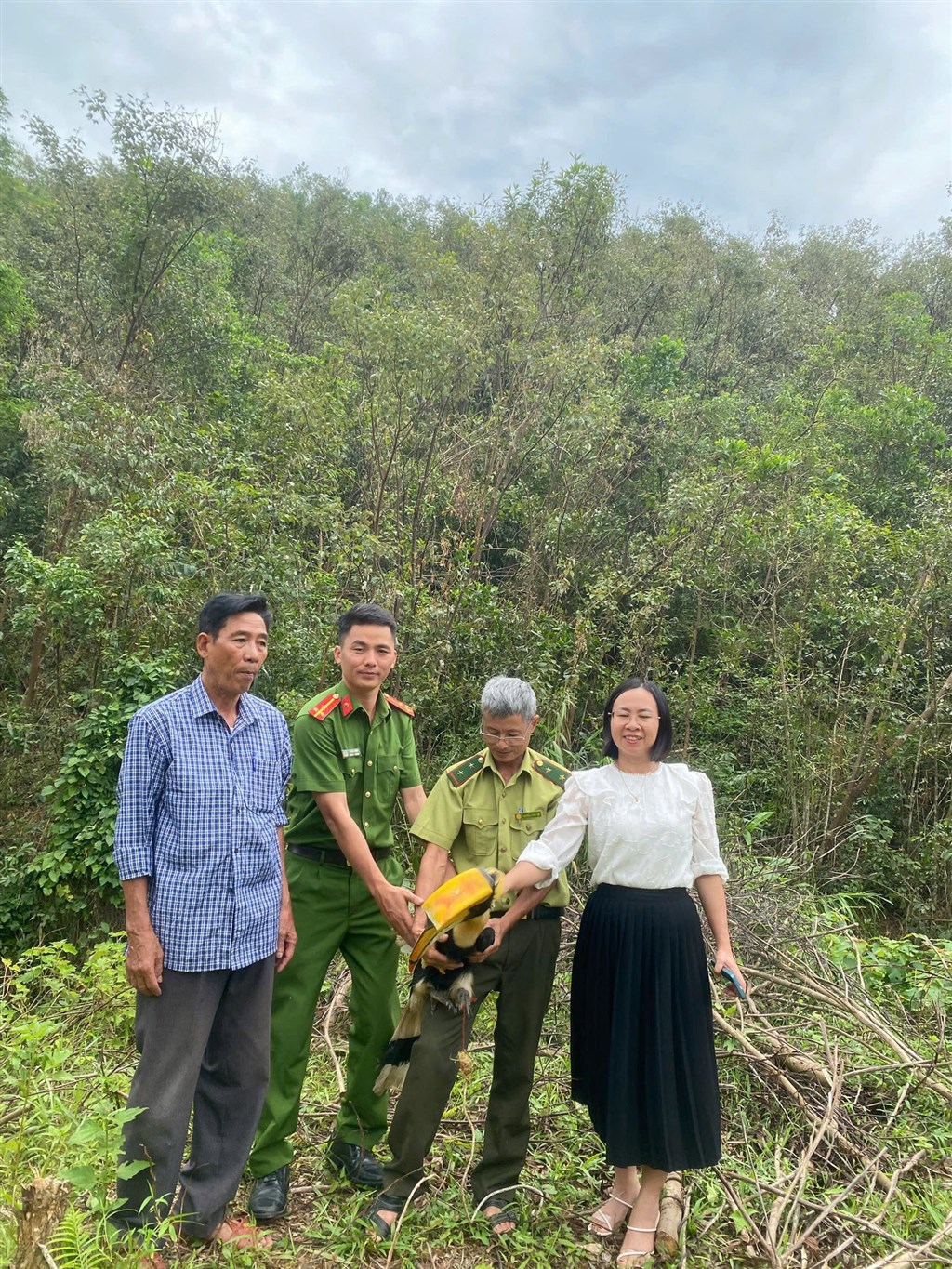 Chim lạ bay vào sân, người dân Nghệ An lập tức báo chính quyền - hóa ra là “báu vật” của rừng xanh- Ảnh 2.