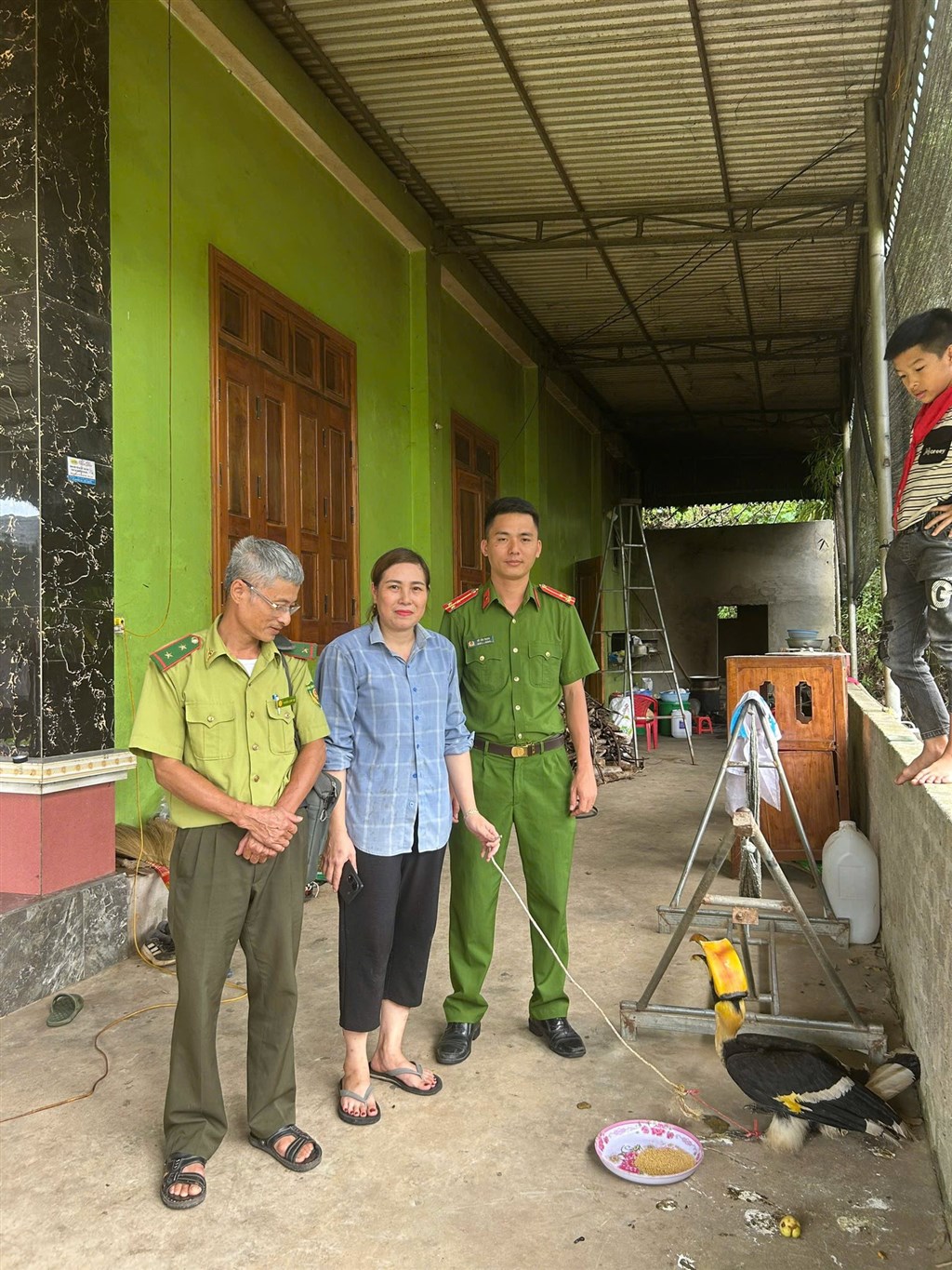 Chim lạ bay vào sân, người dân Nghệ An lập tức báo chính quyền - hóa ra là “báu vật” của rừng xanh- Ảnh 1.
