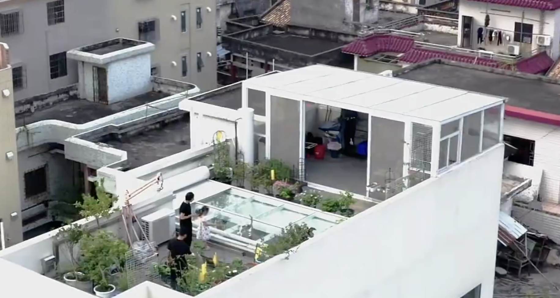 Rút sổ tiết kiệm về quê xây nhà 3 tỷ đồng sống cùng gia đình chồng, người phụ nữ bày tỏ: “Ước gì biết điều này sớm hơn”- Ảnh 10.