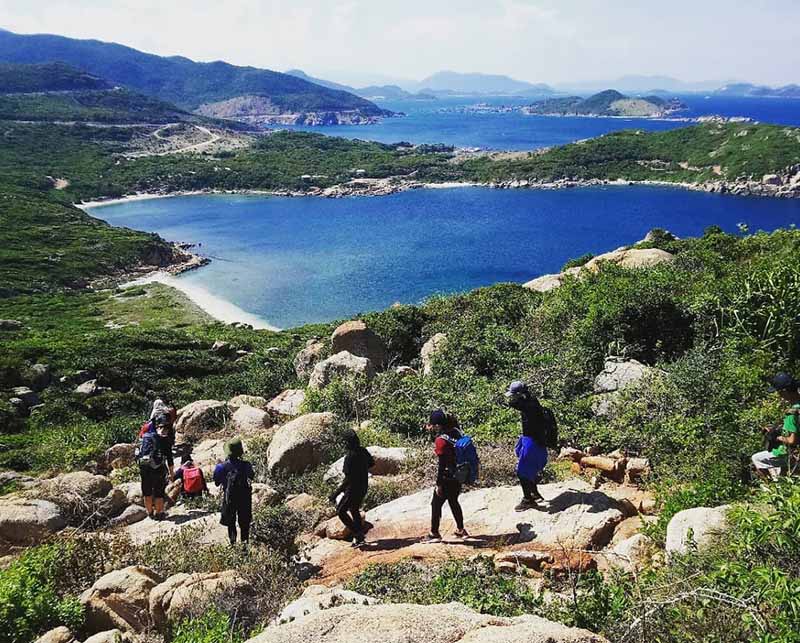 Việt Nam có rừng thuộc dạng quý hiếm ở Đông Nam Á, cả nước chỉ có 1, ngay gần Nha Trang, Phan Thiết- Ảnh 5.