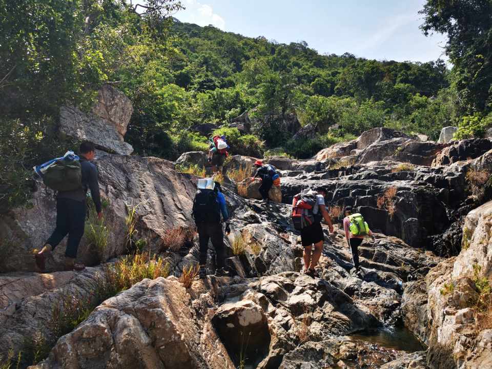 Việt Nam có rừng thuộc dạng quý hiếm ở Đông Nam Á, cả nước chỉ có 1, ngay gần Nha Trang, Phan Thiết- Ảnh 7.