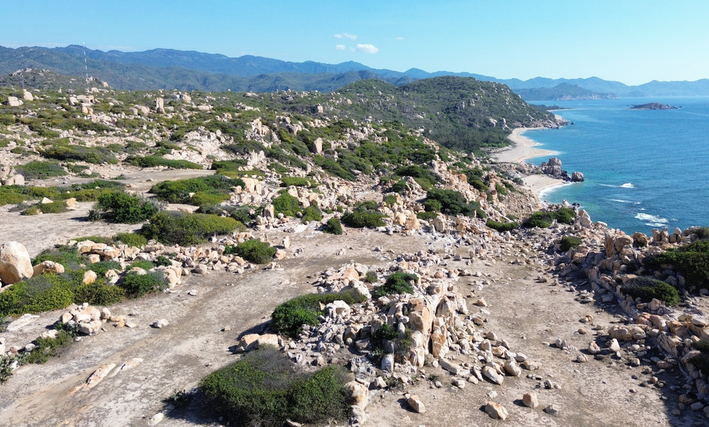 Việt Nam có rừng thuộc dạng quý hiếm ở Đông Nam Á, cả nước chỉ có 1, ngay gần Nha Trang, Phan Thiết- Ảnh 1.