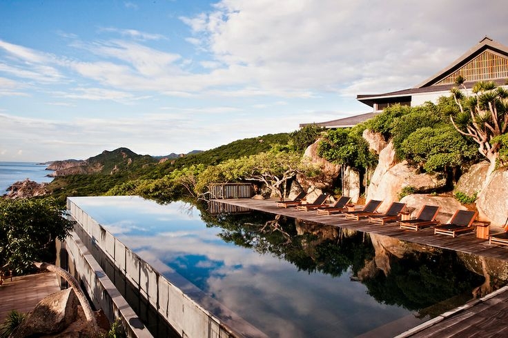 Việt Nam có rừng thuộc dạng quý hiếm ở Đông Nam Á, cả nước chỉ có 1, ngay gần Nha Trang, Phan Thiết- Ảnh 10.