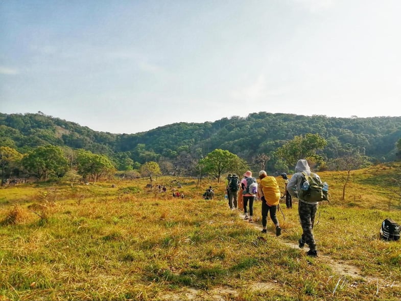 Việt Nam có rừng thuộc dạng quý hiếm ở Đông Nam Á, cả nước chỉ có 1, ngay gần Nha Trang, Phan Thiết- Ảnh 3.