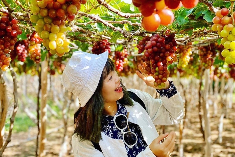 Việt Nam có rừng thuộc dạng quý hiếm ở Đông Nam Á, cả nước chỉ có 1, ngay gần Nha Trang, Phan Thiết- Ảnh 9.