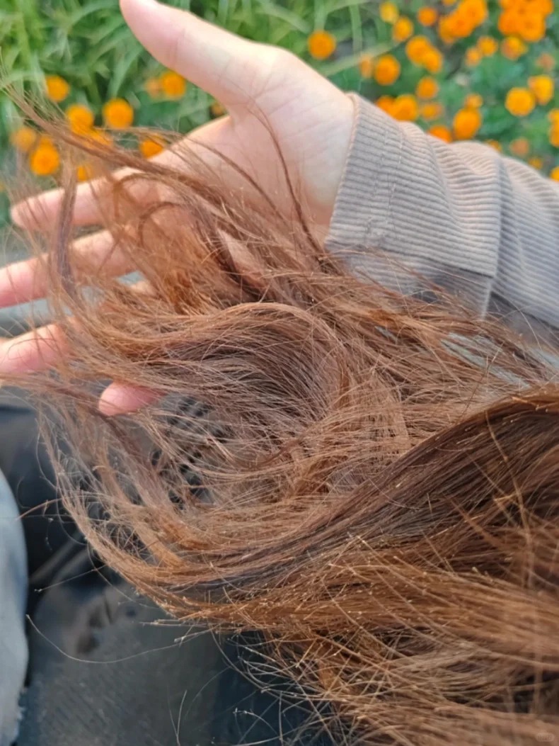 Liệu phần tóc chẻ ngọn có thể tự phục hồi nếu không cắt không?- Ảnh 3.