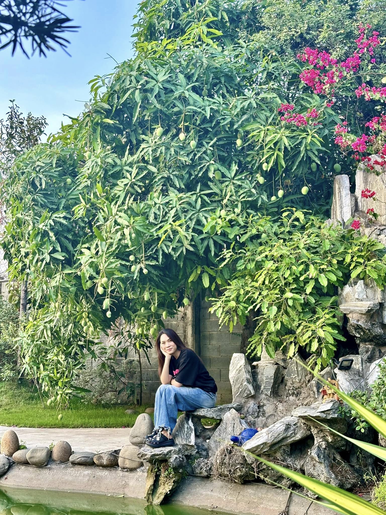 Thấy gì ở 2 tài sản trăm tỷ của Mỹ Tâm?- Ảnh 5.