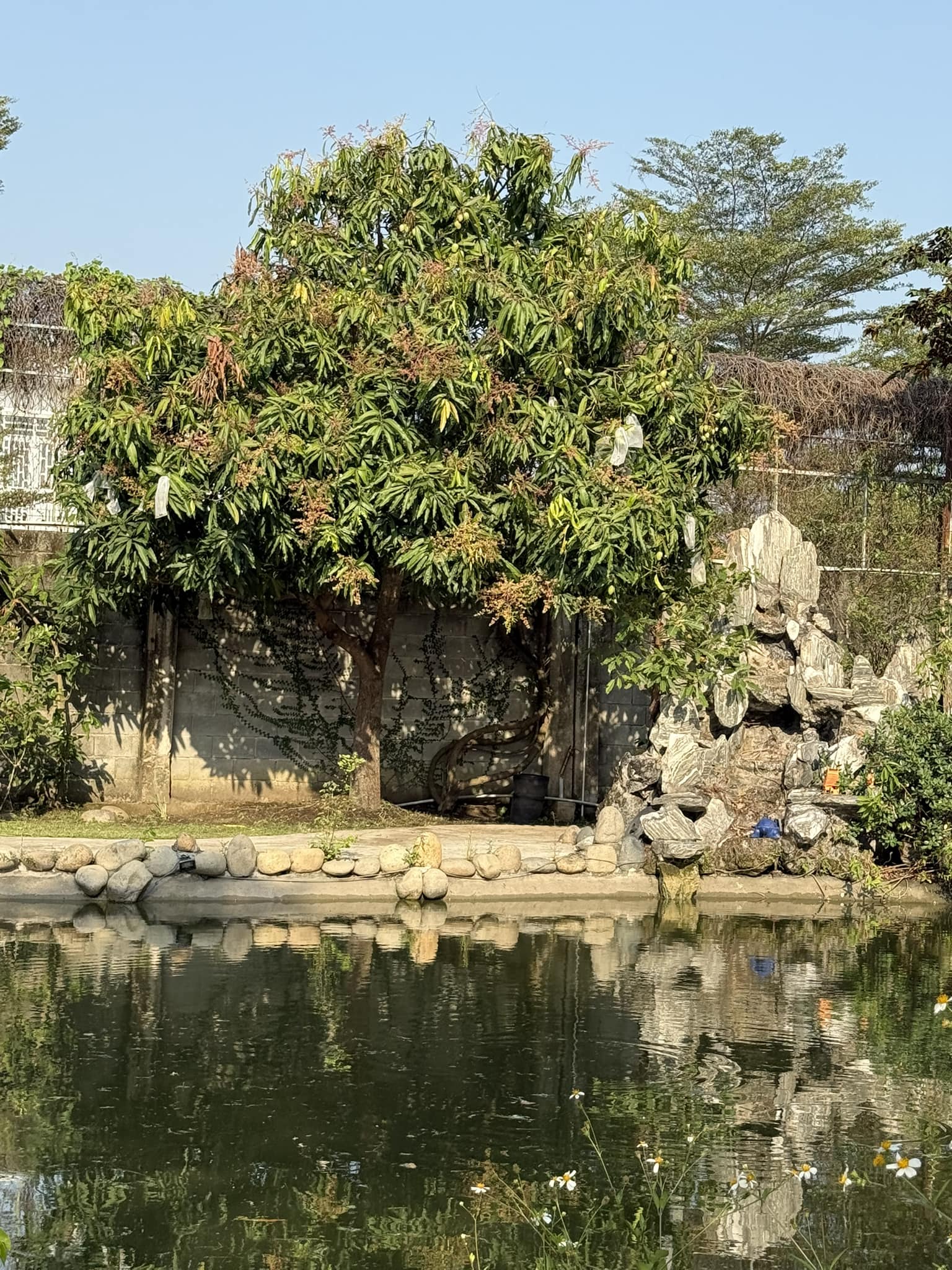 Thấy gì ở 2 tài sản trăm tỷ của Mỹ Tâm?- Ảnh 8.