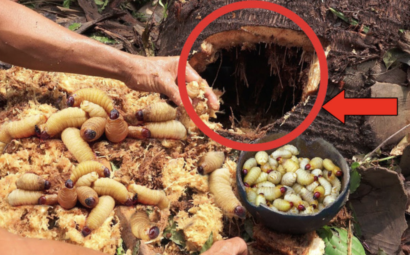 5 món Việt khiến khách Tây sợ 