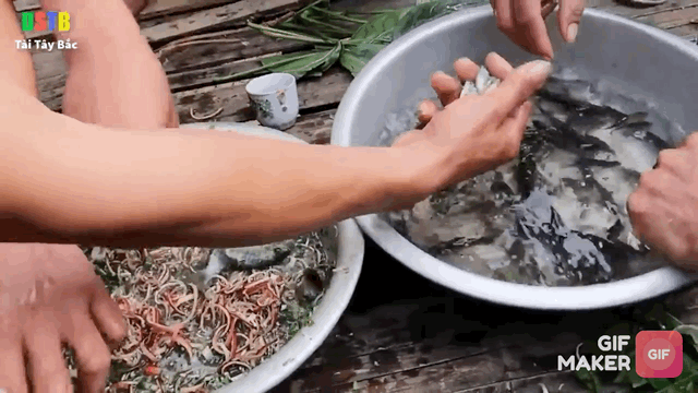 5 món Việt khiến khách Tây sợ 