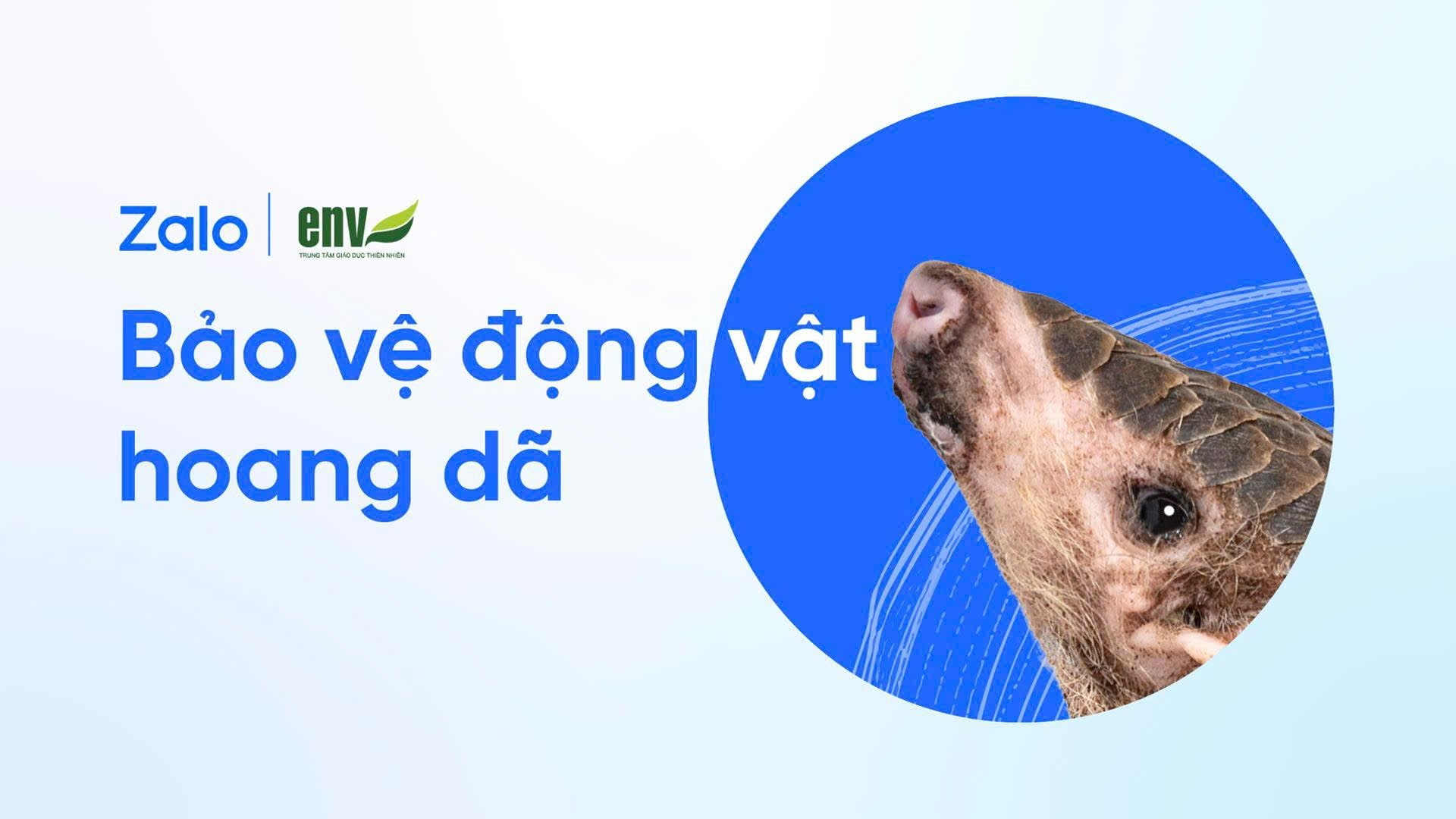 Zalo vừa có thay đổi mới, người dùng cập nhật ngay kẻo mất quyền lợi- Ảnh 4.