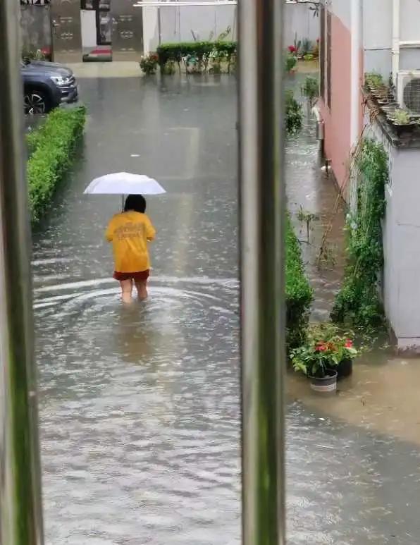 Tôi mất gần 40 triệu chỉ sau một trận mưa: Bài học đắt giá khi mua căn hộ tầng một vì tưởng 