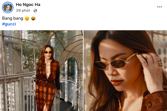 Bị cả cõi mạng đùa giỡn, Lệ Quyên viết tâm thư - Hồ Ngọc Hà đáp trả 2 chữ- Ảnh 5.