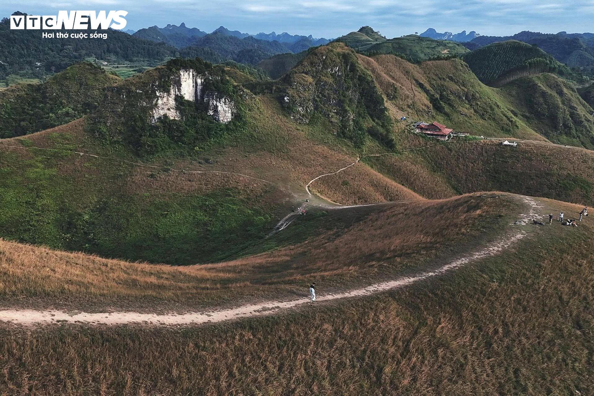 Mùa cỏ cháy phủ vàng đồi Ba Quáng giữa núi rừng Cao Bằng- Ảnh 4. Mùa cỏ cháy phủ vàng đồi Ba Quáng giữa núi rừng Cao Bằng- Ảnh 4.