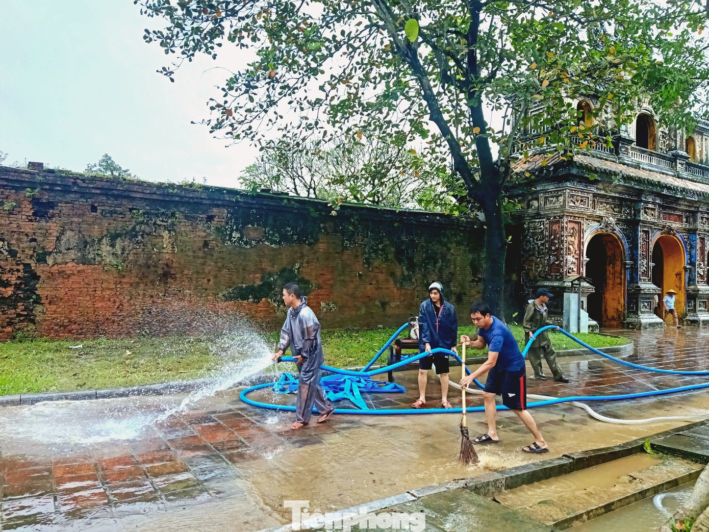 Hà Nội đề nghị ca sĩ Đan Trường không bắn pháo hoa trong concert- Ảnh 3.