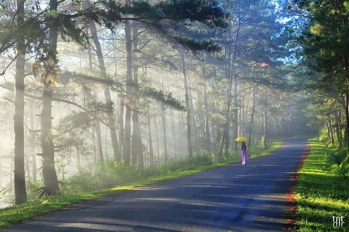 Tên gọi Đà Lạt có ý nghĩa gì?- Ảnh 1.