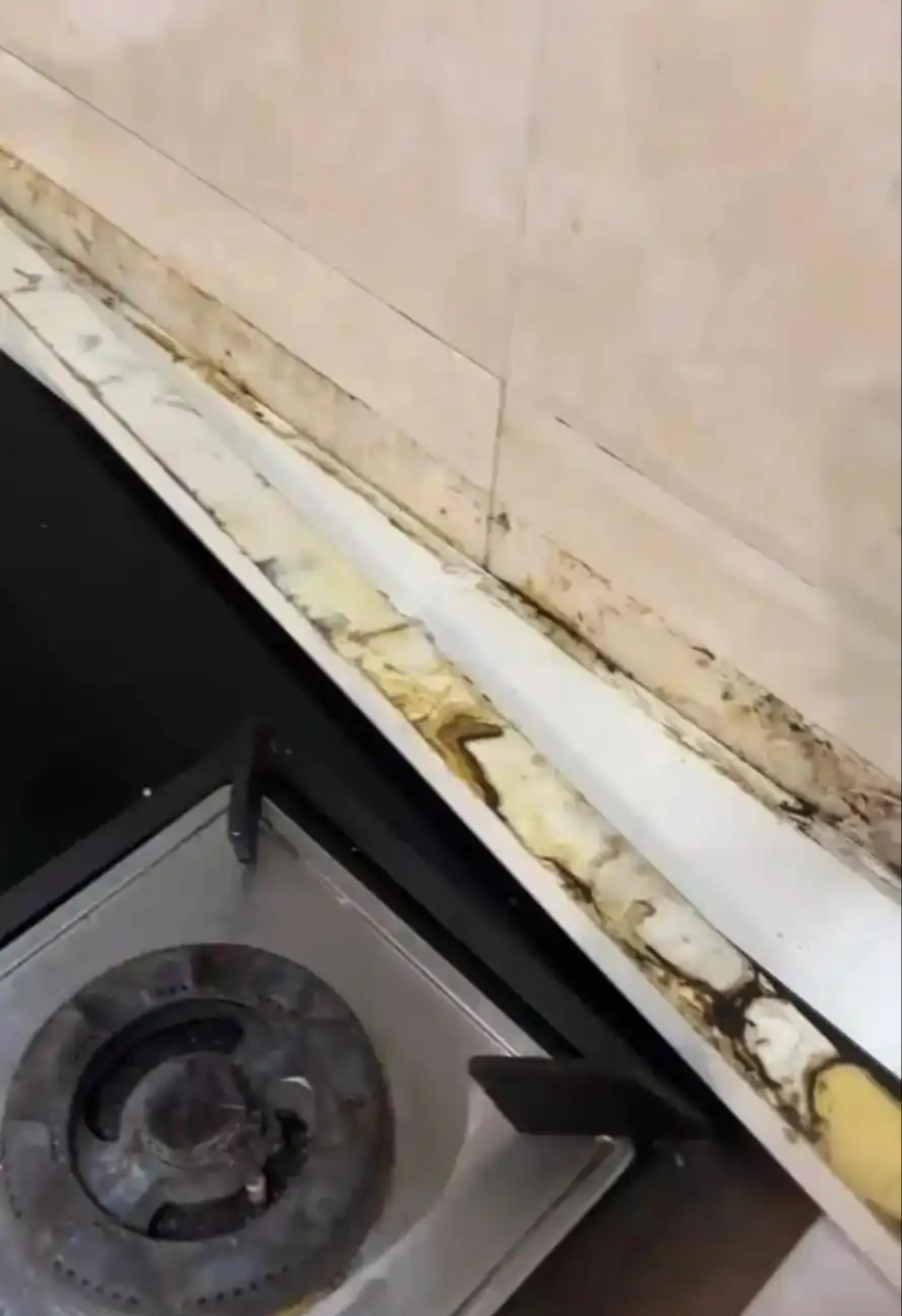 Sống 40 năm cuộc đời mới hiểu: 8 món trong bếp càng không lắp càng thấy sướng- Ảnh 6.