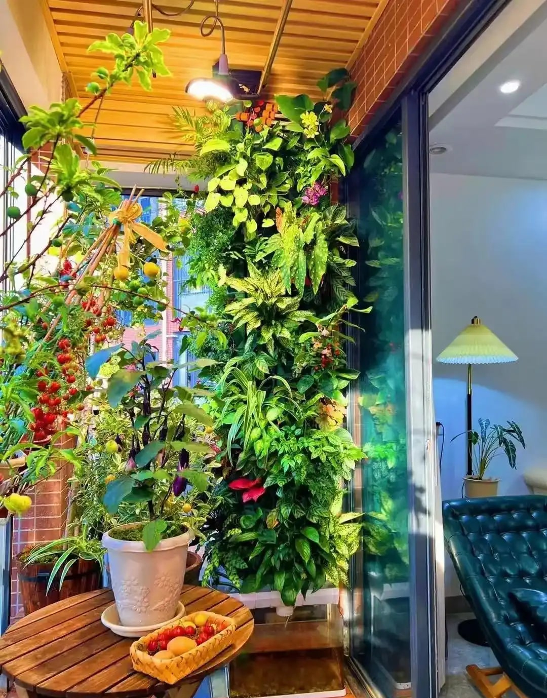 Khu vườn 6m2 khiến trăm nghìn người theo dõi vì quá 