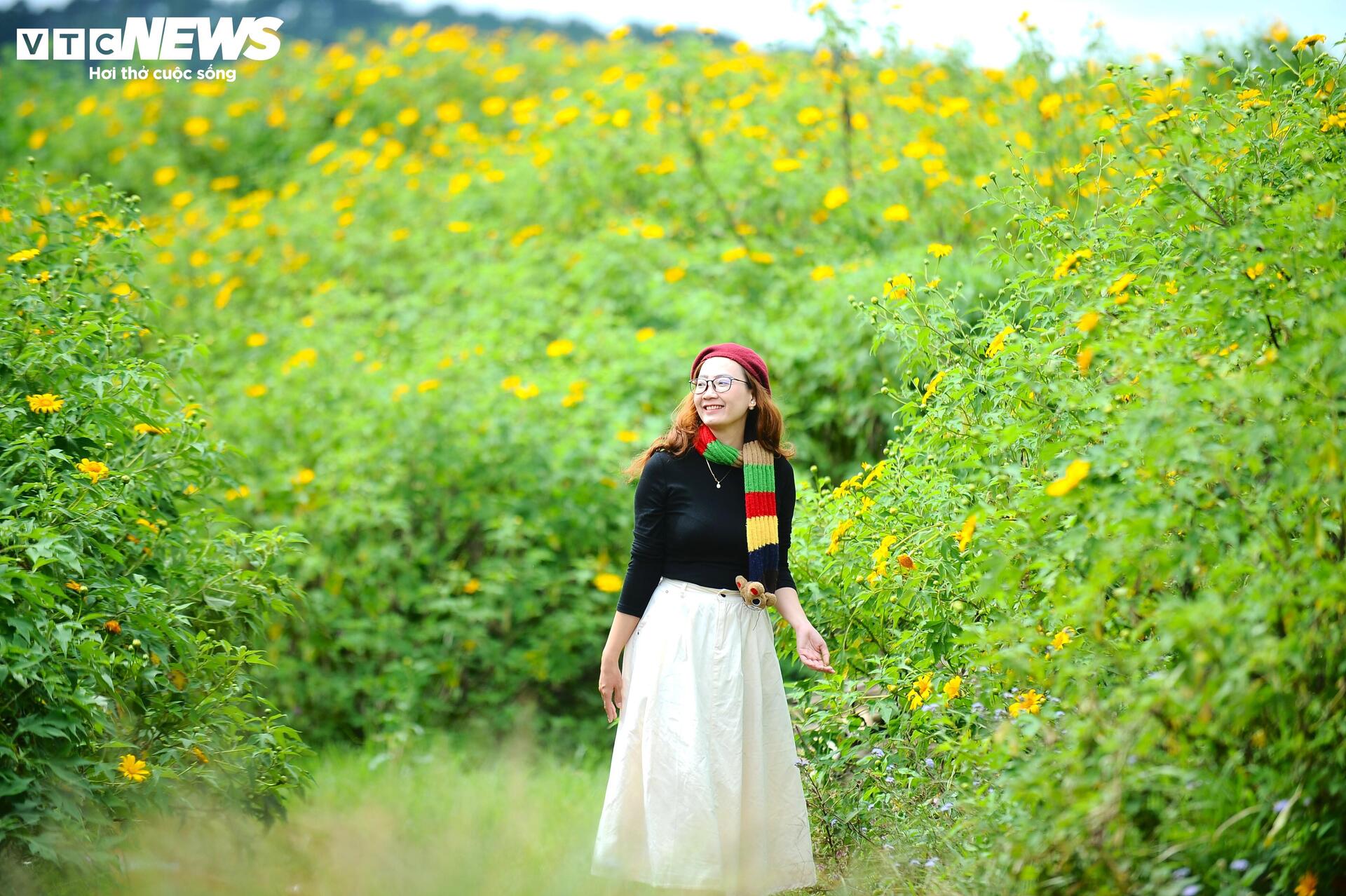 Dã quỳ nhuộm vàng phố núi, Đà Lạt vào mùa đẹp nhất năm- Ảnh 3.