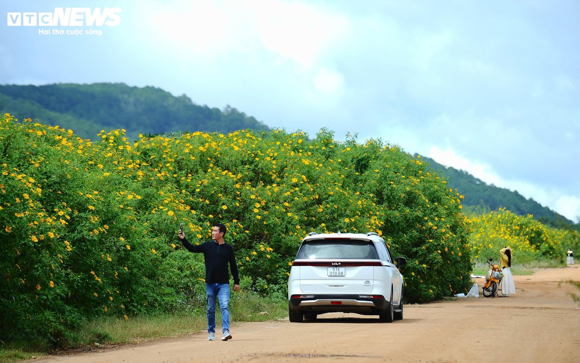 Dã quỳ nhuộm vàng phố núi, Đà Lạt vào mùa đẹp nhất năm- Ảnh 2.