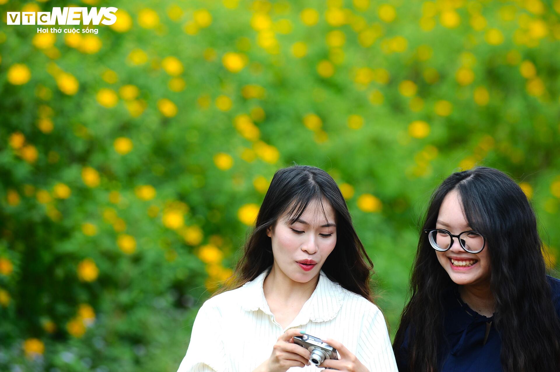 Dã quỳ nhuộm vàng phố núi, Đà Lạt vào mùa đẹp nhất năm- Ảnh 4.