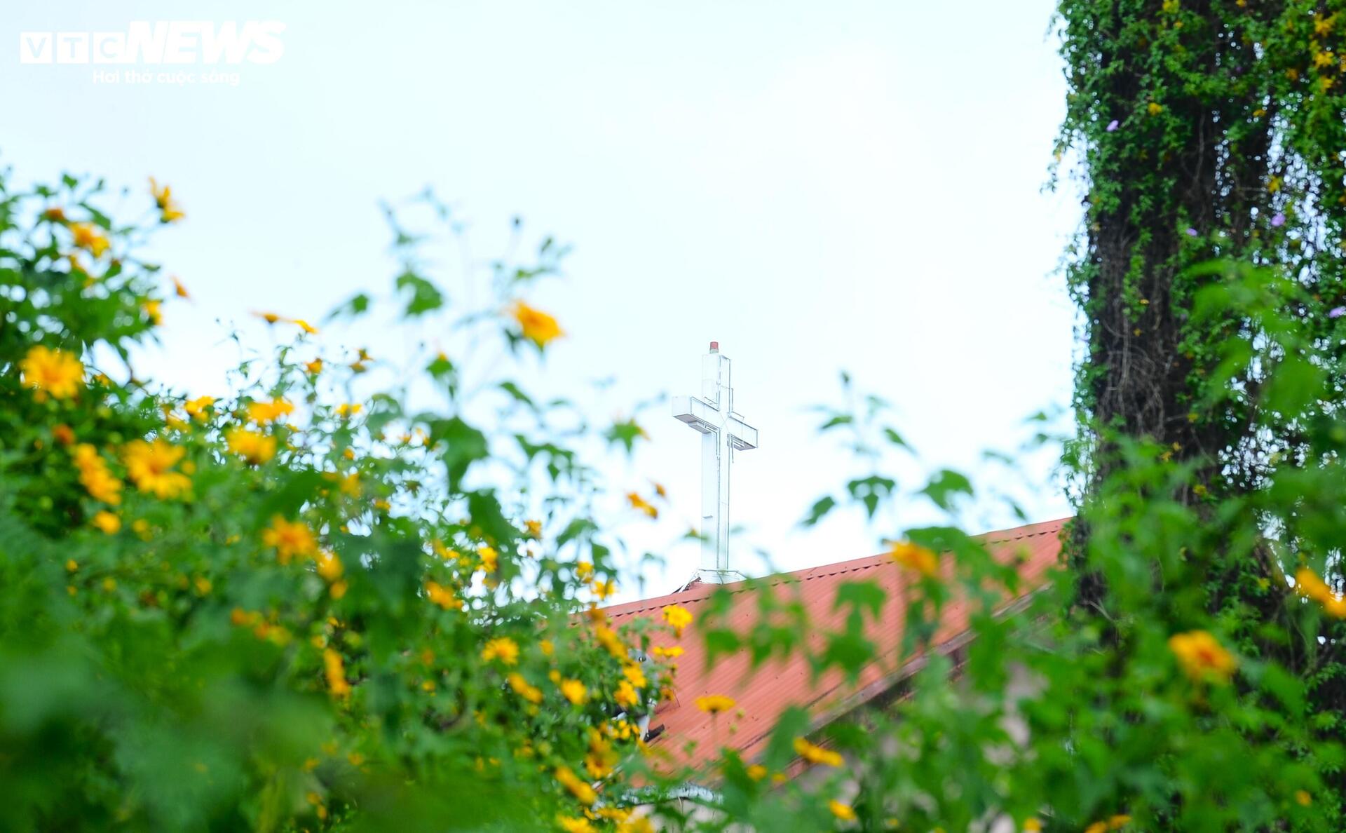 Dã quỳ nhuộm vàng phố núi, Đà Lạt vào mùa đẹp nhất năm- Ảnh 14.