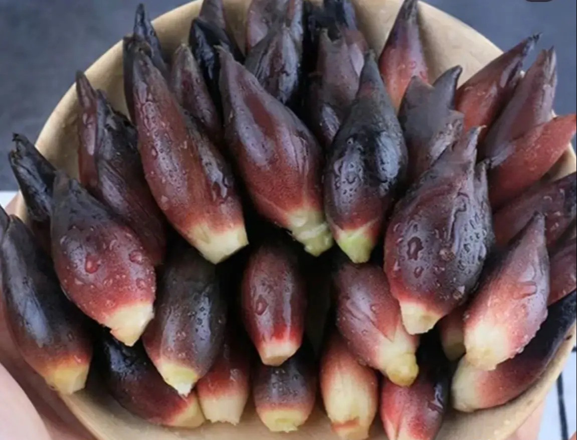 Loại rau mọc hoang ở rừng nhưng được coi là "nhân sâm châu Á"- Ảnh 1.