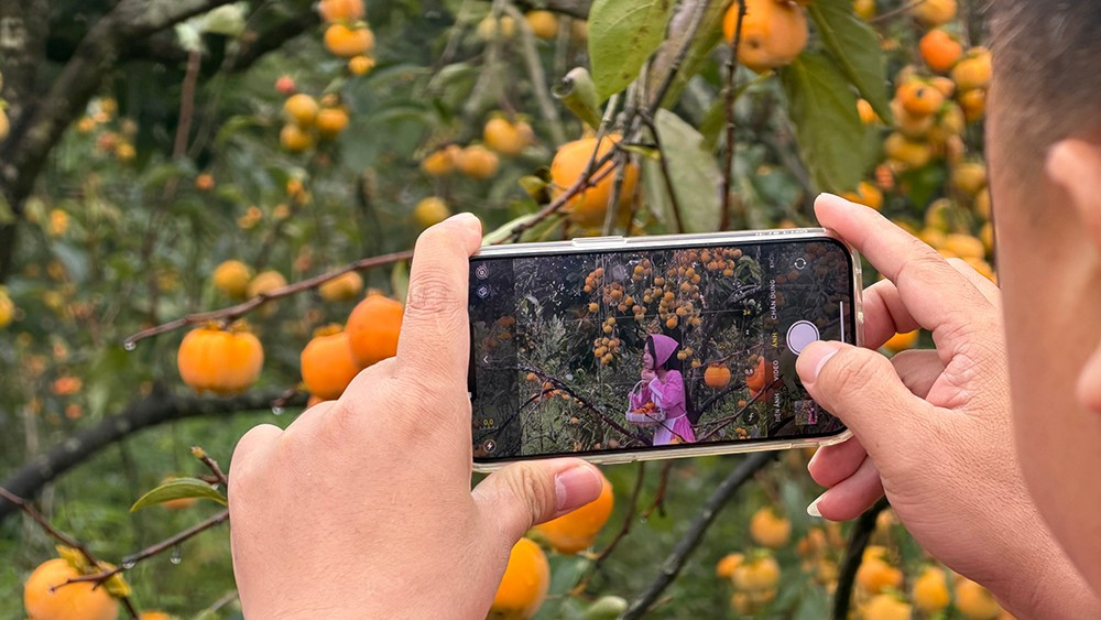 Mộc Châu mùa hồng chín, ai đến cũng ngẩn ngơ- Ảnh 11.