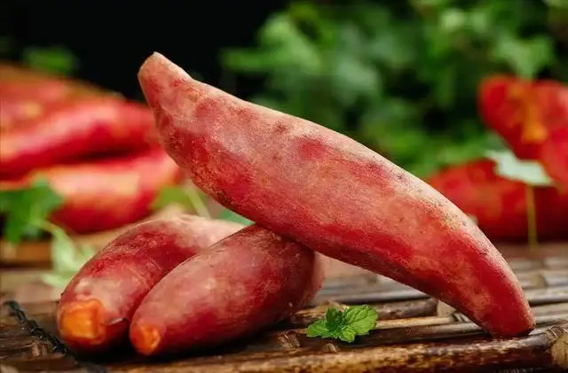 2 loại 'đại kỵ' với khoai lang, kết hợp sai dễ đầy bụng, hại dạ dày mà nhiều người vẫn vô tư ăn!- Ảnh 1.