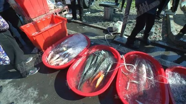 4 loại thịt đáng lẽ phải BỊ CẤM từ lâu, vậy mà nhiều người vẫn ăn- Ảnh 1.