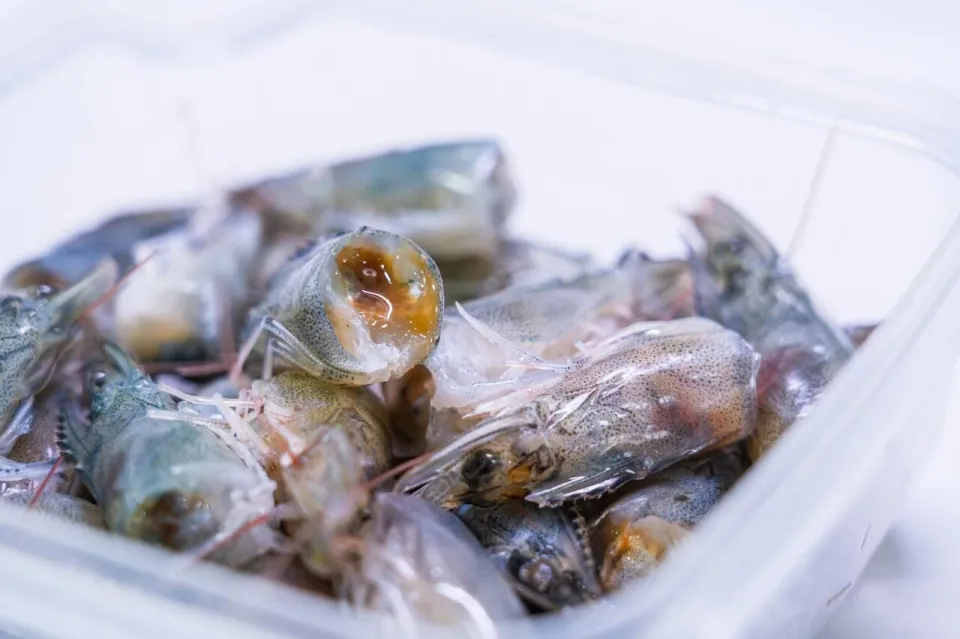 Sợi trắng trong đầu tôm có phải ký sinh trùng?- Ảnh 1.