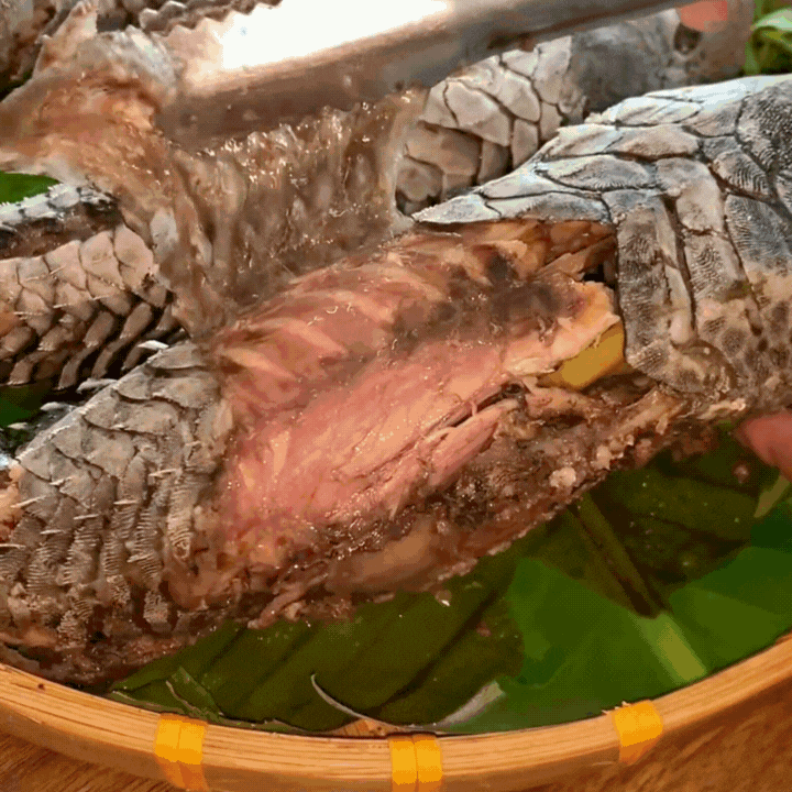 "Thủy quái thời tiền sử" được hội Tiktoker rần rần mukbang gây sốt cộng đồng mạng- Ảnh 10.