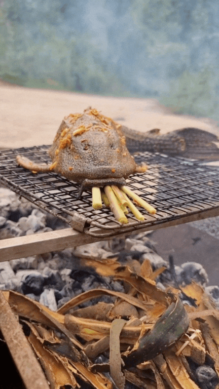 "Thủy quái thời tiền sử" được hội Tiktoker rần rần mukbang gây sốt cộng đồng mạng- Ảnh 18.