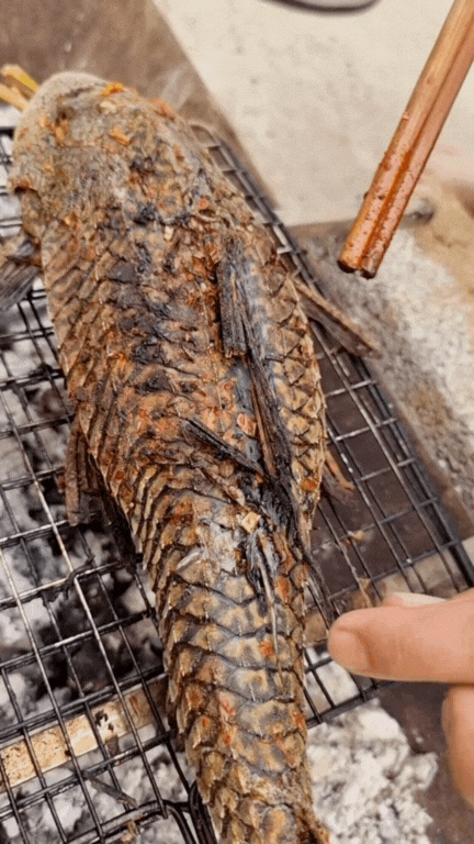 "Thủy quái thời tiền sử" được hội Tiktoker rần rần mukbang gây sốt cộng đồng mạng- Ảnh 19.