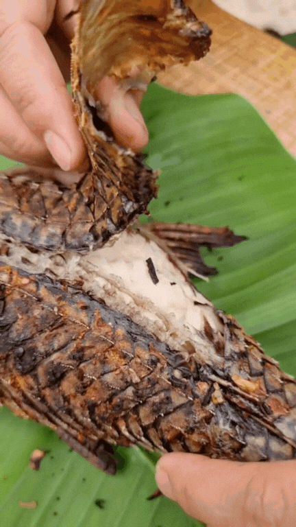 "Thủy quái thời tiền sử" được hội Tiktoker rần rần mukbang gây sốt cộng đồng mạng- Ảnh 20.