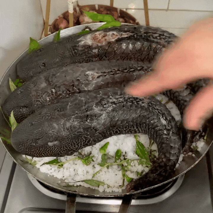 "Thủy quái thời tiền sử" được hội Tiktoker rần rần mukbang gây sốt cộng đồng mạng- Ảnh 8.