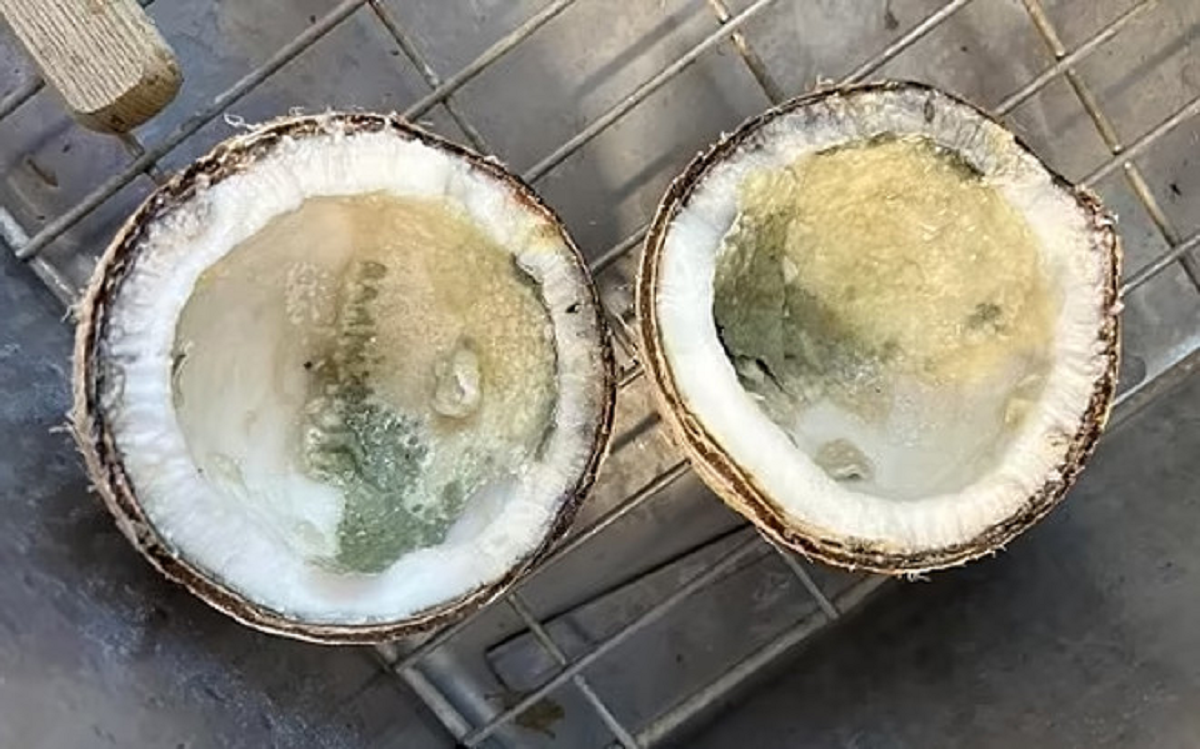 Người đàn ông 69 tuổi tuổi tử vong sau khi uống một ngụm nước dừa theo cách "vạn người mê"- Ảnh 1.