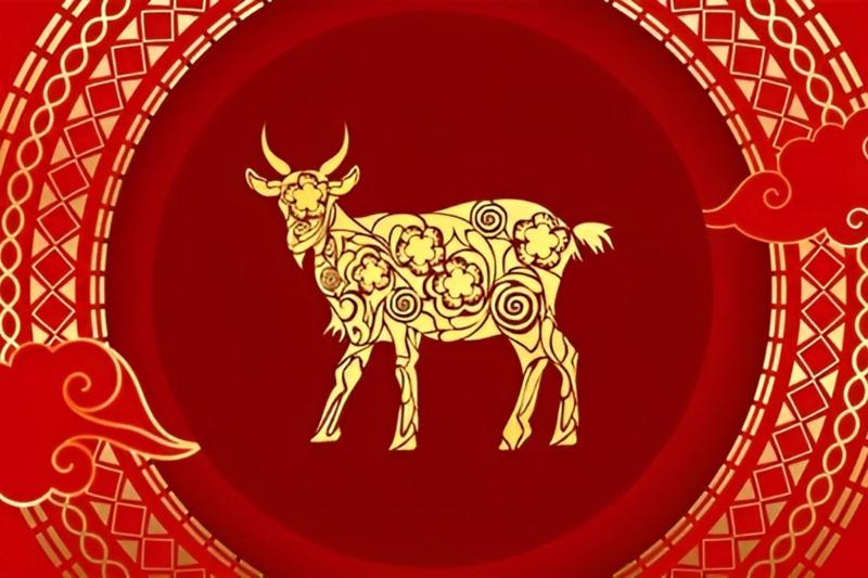 Tổng quan tử vi tuổi Mùi năm 2026- Ảnh 1.