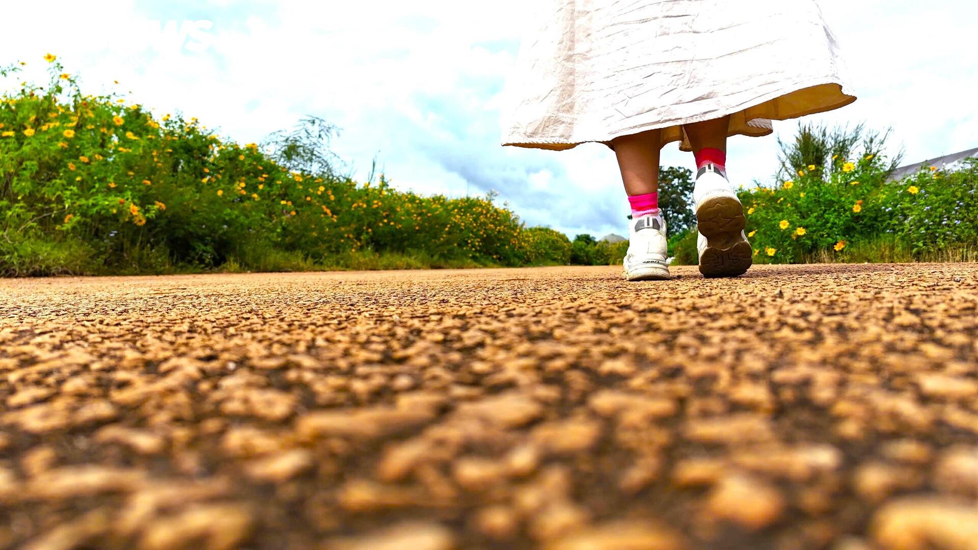 Dã quỳ nhuộm vàng phố núi, Đà Lạt vào mùa đẹp nhất năm- Ảnh 17.