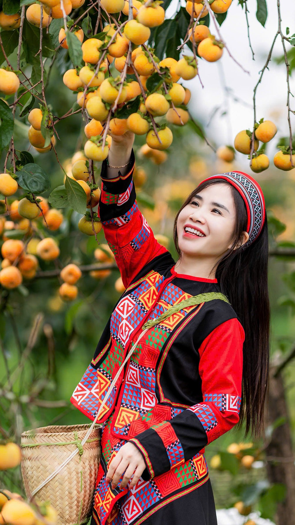 Mộc Châu mùa hồng chín, ai đến cũng ngẩn ngơ- Ảnh 12.