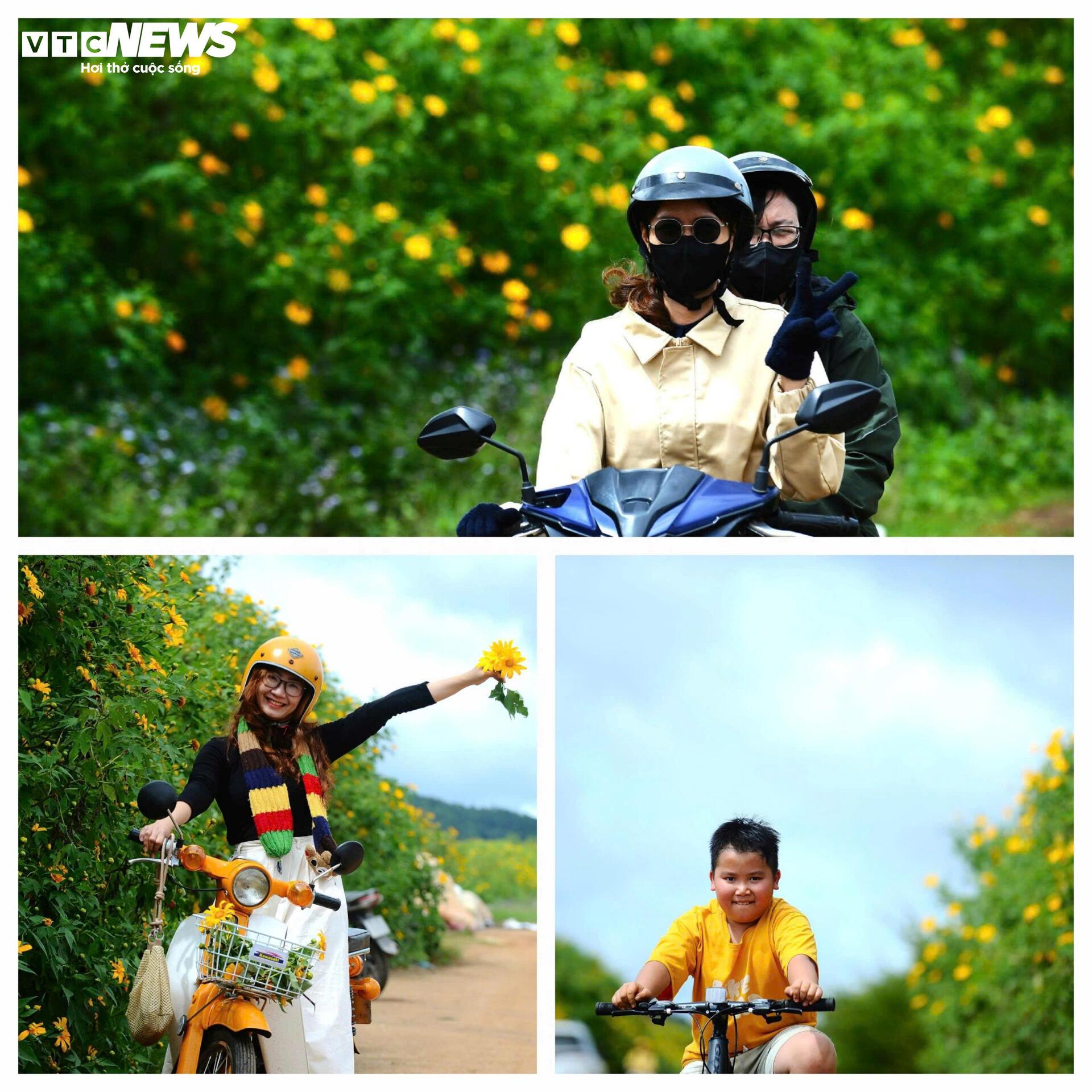 Dã quỳ nhuộm vàng phố núi, Đà Lạt vào mùa đẹp nhất năm- Ảnh 12.